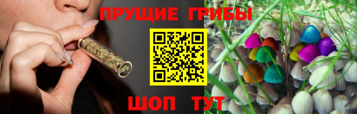 Псилоцибиновые грибы GOLDEN TEACHER  Вход с VPN  Асбест 